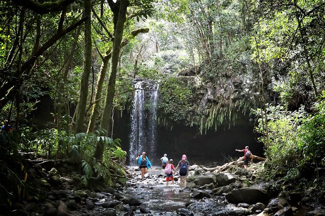 Small Group Waterfall and Rainforest Hiking Adventure on Maui - Entering the East Maui rainforest