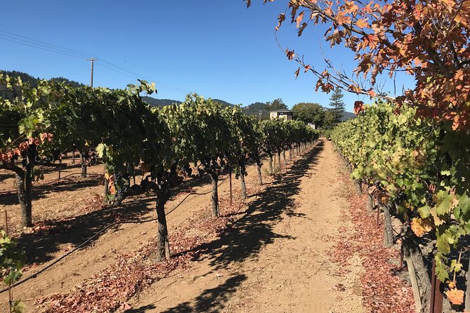 Small-Group Wine Country Tour from San Francisco with Tastings - Sausalito and the choice to return by ferry