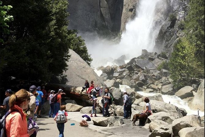 Small Group Yosemite and Giant Sequoias Day Trip from San Francisco - Yosemite Falls is the day’s biggest waterfall stop
