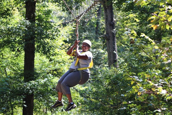 Small-Group Zipline Tour in Hot Springs - Ten lines through an old-growth forest