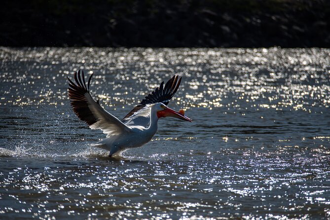 Snake River Scenic Float - Who should take this float?