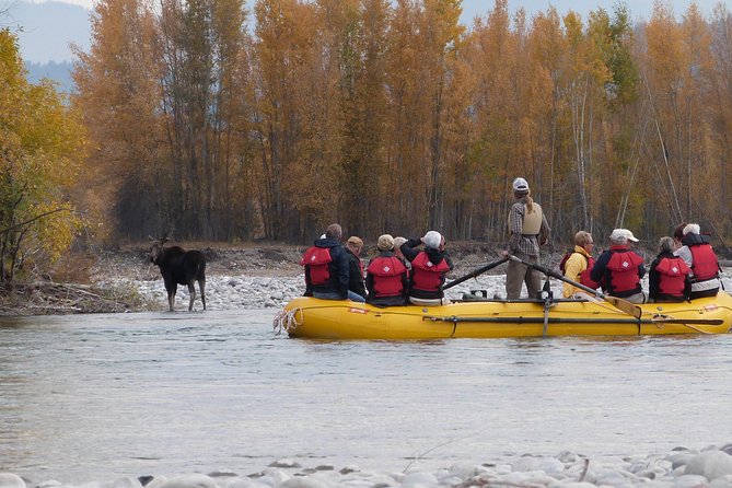 Snake River Scenic Float Trip with Teton Views in Jackson Hole - Guides who make the ride work