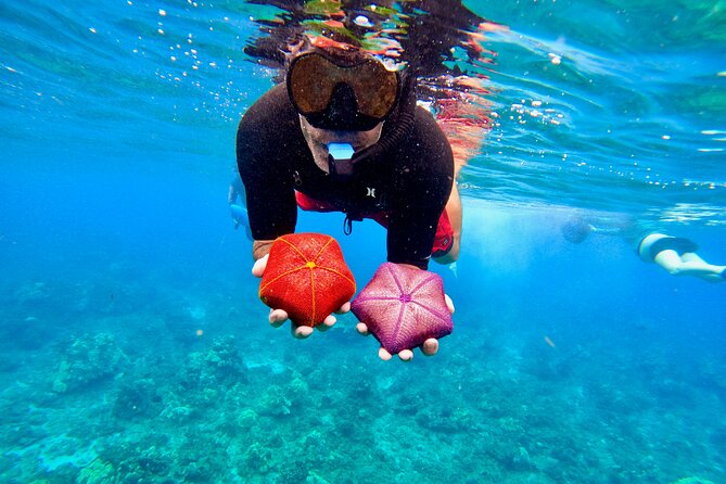 Snorkeling for Non-Swimmers with Photos Guided Tour Wailea Beach - The $149 Price and What You Receive