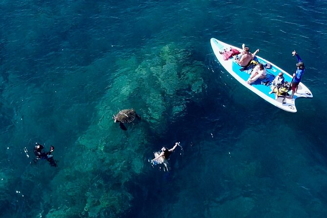 Snorkeling for Non-Swimmers with Photos Guided Tour Wailea Beach - Timing, Weather, and Physical Effort