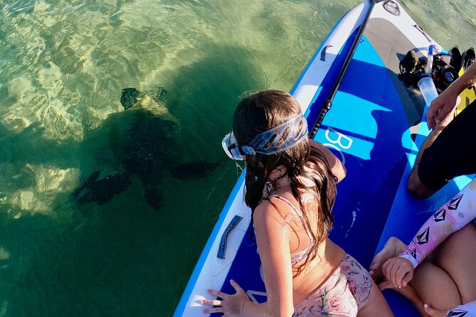Snorkeling for Non-Swimmers with Photos Guided Tour Wailea Beach - Shallow Water Practice Before the Open Ocean