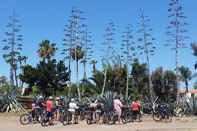 SoCal Riviera Electric Bike Tour of La Jolla and Mount Soledad - Guides who add more than directions