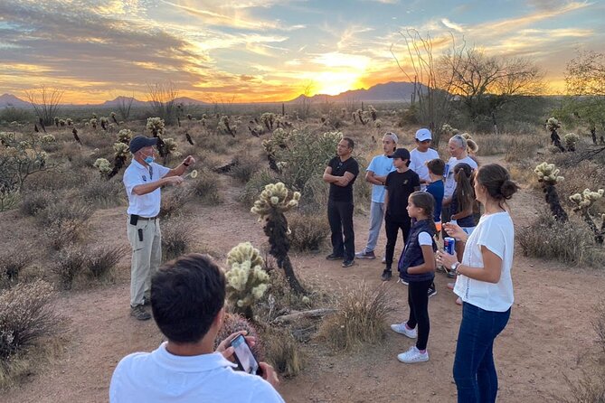 Sonoran Desert Jeep Tour at Sunset - The sunset overlook is the tour’s payoff
