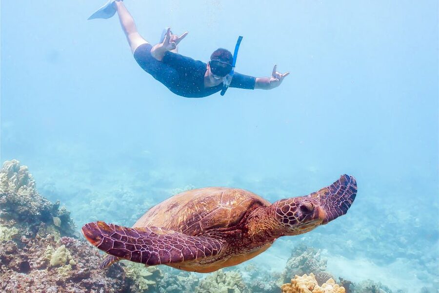 South Maui: Molokini Snorkeling Adventure - Key points to know before booking