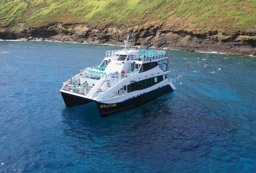 South Maui: Molokini Snorkeling Adventure - Whale watching and extra ocean wildlife
