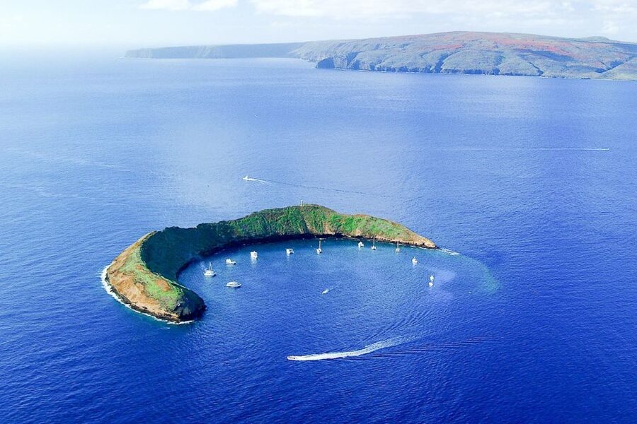 South Maui: Molokini & Turtle Town Snorkeling Tour with Meal - Turtle Town brings a different kind of encounter