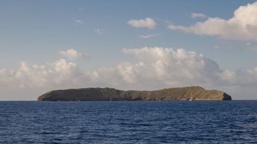 South Maui: Snorkel to Coral Gardens or Molokini Crater - Coral Gardens, the dependable alternative