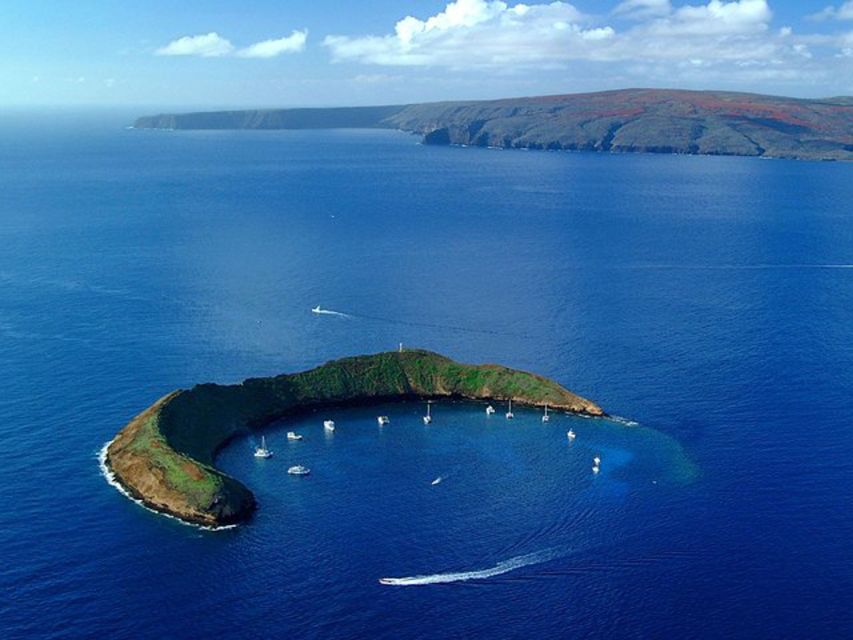 South Maui: Snorkel to Coral Gardens or Molokini Crater - Lunch, drinks, and the $89 value