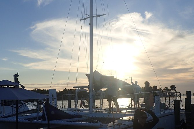 Southwest Florida Sunset Sail - Dolphins, Sea Turtles, and the Limits of Nature