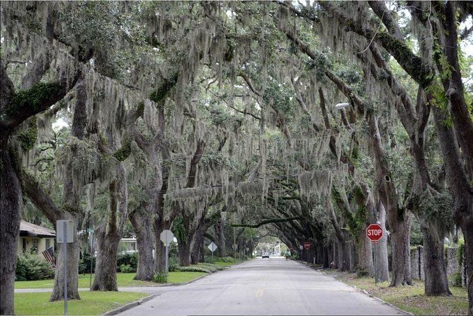 St. Augustine Hop-On Hop-Off Trolley Tour - Is $38.47 a fair price?