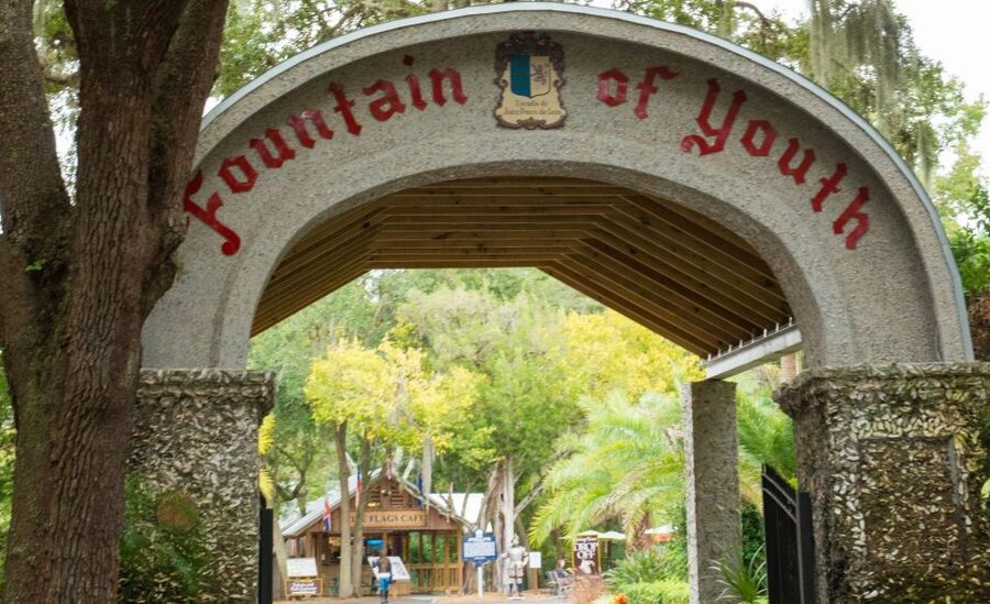 St. Augustine: Hop-on Hop-off Trolley Tour with Museum Entry - San Marco Avenue brings early St. Augustine to life