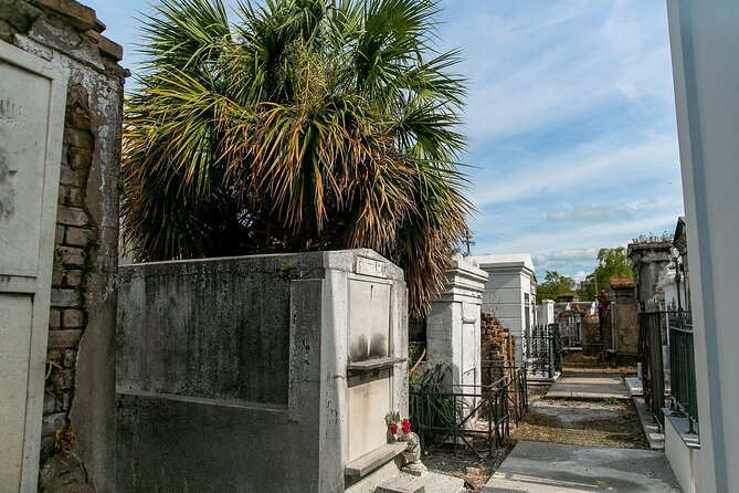 St. Louis Cemetery No. 1 Official Walking Tour - Why St. Louis Cemetery No. 1 is worth your time