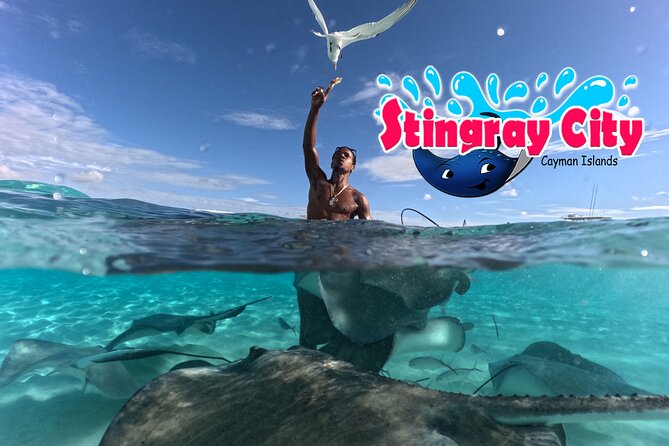 Stingray City and Starfish Experience with Coral Reef Snorkeling - Stingray City: 45 minutes in shallow water