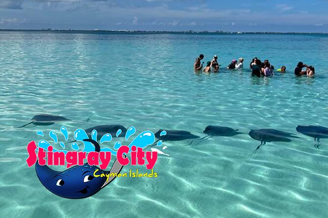 Stingray City and Starfish Experience with Coral Reef Snorkeling - The crew makes a real difference