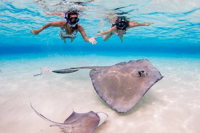 Stingray City and Starfish Experience with Coral Reef Snorkeling - Cruise port timing and pickup details