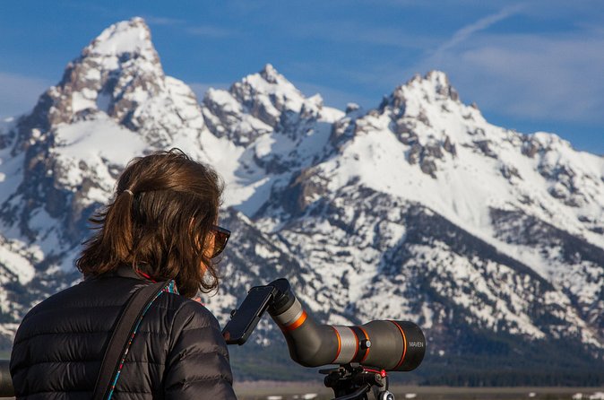 Sunrise 4-Hour Grand Teton Wildlife Adventure - What makes the guides valuable