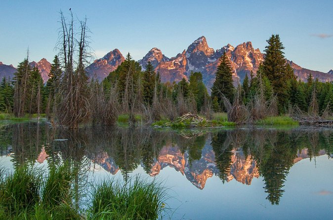 Sunrise 4-Hour Grand Teton Wildlife Adventure - Breakfast, coffee, and cold-weather comfort