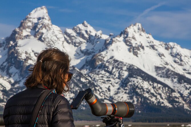 Sunrise 4-Hour Grand Teton Wildlife Adventure - Is $198 a fair price?
