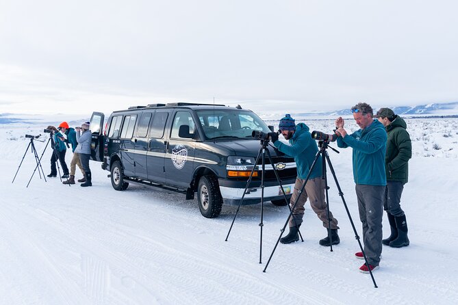 Sunrise 4-Hour Grand Teton Wildlife Adventure - Booking timing and cancellation rules