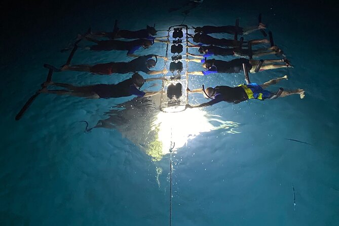 Sunset and Manta Ray Snorkel Adventure - Getting in and out of the water