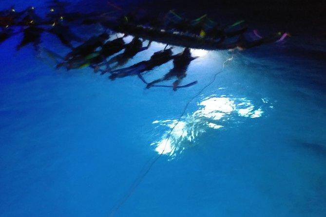 Sunset and Manta Ray Snorkel Adventure - Sailing into the Kona sunset