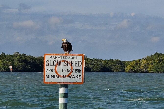 Sunset Dolphin Cruise with Sanibel Lighthouse Views - A calm sunset ride from Fort Myers Beach