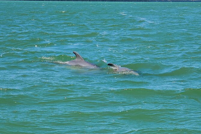 Sunset Dolphin Cruise with Sanibel Lighthouse Views - Mound House and a much older Fort Myers Beach
