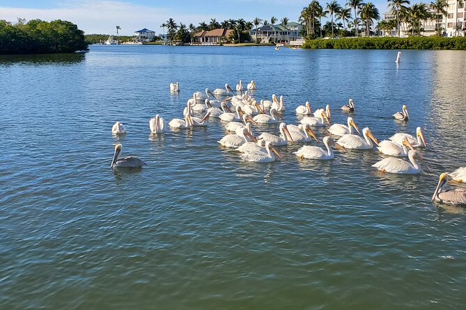 Sunset Dolphin Cruise with Sanibel Lighthouse Views - Sanibel Lighthouse in the sunset background