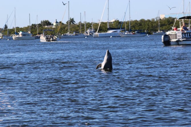 Sunset Dolphin Cruise with Sanibel Lighthouse Views - Who will enjoy this Fort Myers cruise