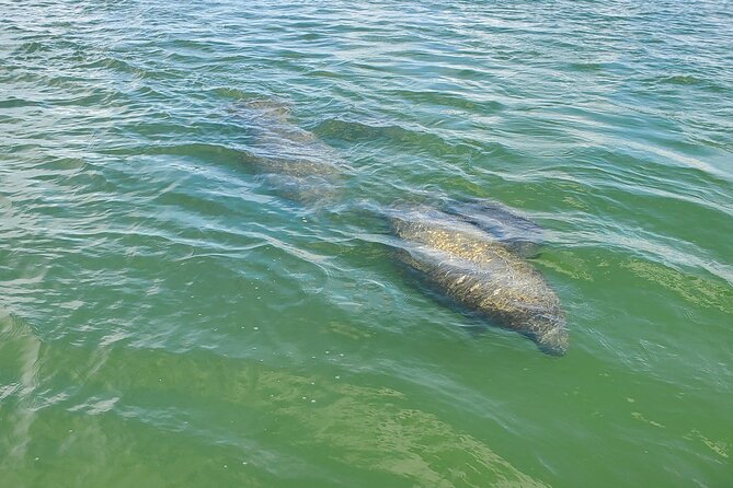 Sunset Dolphin Cruise with Sanibel Lighthouse Views - Passing the Shrimp Boat Fleet
