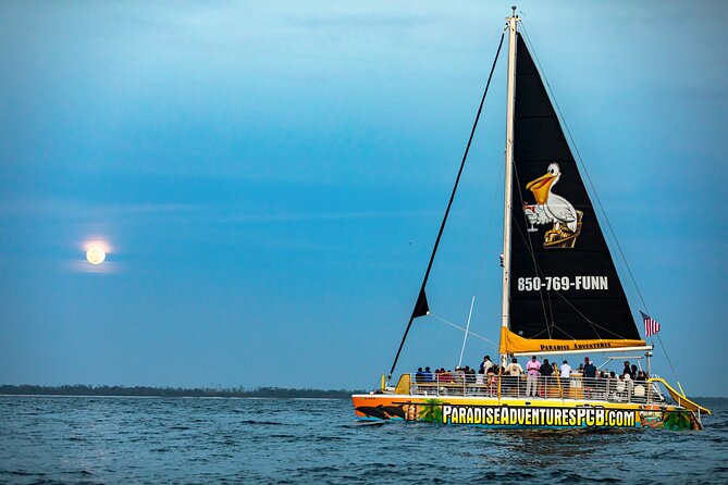 Sunset Dolphin Sail Aboard the Privateer Catamaran - Dolphins, deer, and the western horizon