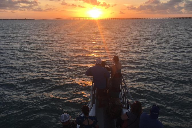 Sunset Dolphin Watch Tour - Key things to know before you board