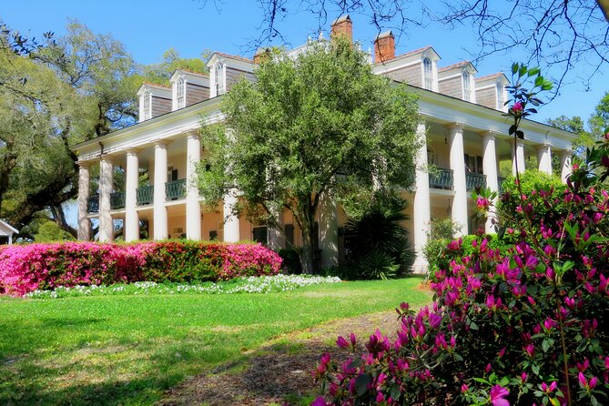 Swamp Boat Ride and Oak Alley Plantation Tour from New Orleans - Why this plantation and swamp combination works