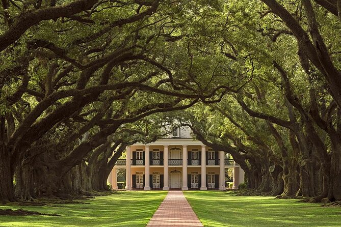 Swamp Boat Ride and Oak Alley Plantation Tour from New Orleans - Manchac Swamp on a covered pontoon boat
