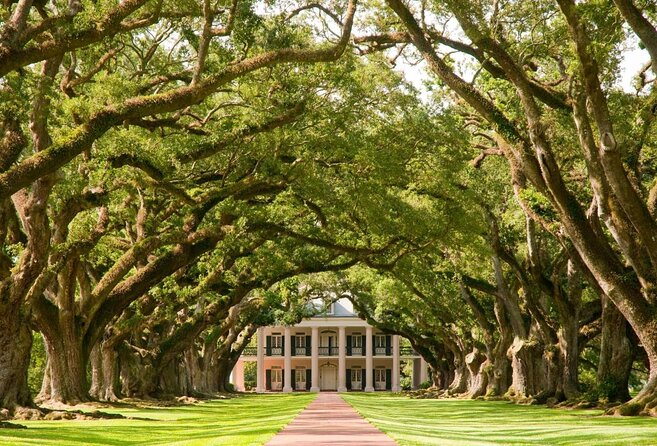Swamp Boat Ride and Oak Alley Plantation Tour from New Orleans - The guides make a real difference
