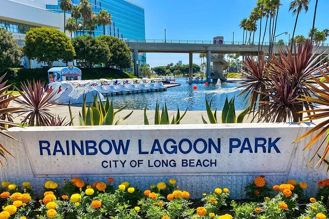 Swan Boat Rental at Rainbow Lagoon in Long Beach - A gentle hour on Rainbow Lagoon