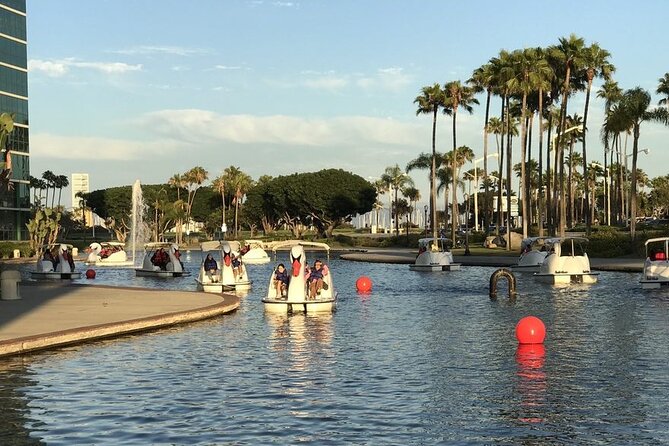 Swan Boat Rental at Rainbow Lagoon in Long Beach - Pack a small picnic, not a party bar