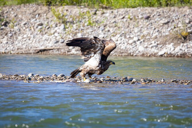 Tetons and Snake River Scenic Float Trip In Jackson Hole - Is the $120 price fair?
