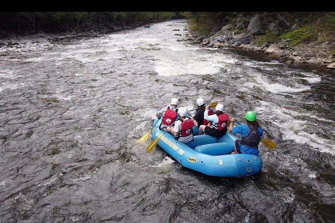 The Best Whitewater Rafting - Is $45.85 a fair price?