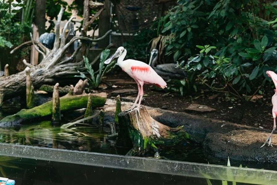 The Florida Aquarium Ticket - Three touch pools, three different experiences