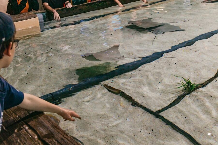 The Florida Aquarium Ticket - A useful stop for families, couples, and solo visitors