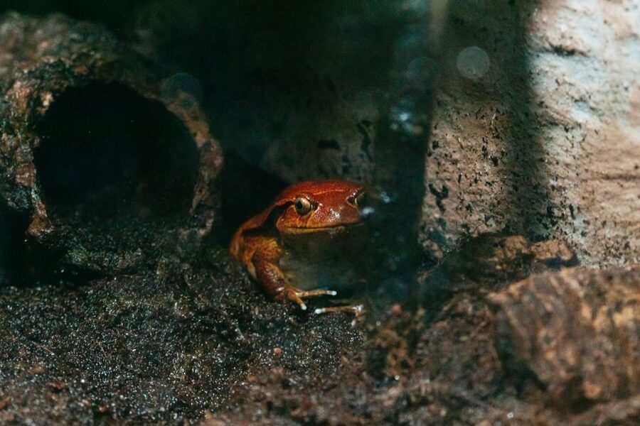 The Florida Aquarium Ticket - Food, facilities, and practical comfort