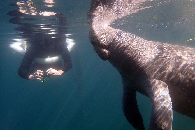 The 'OG' Manatee Snorkel Tour with In-Water Guide/Photographer - Cruising Kings Bay in a covered Coast Guard boat