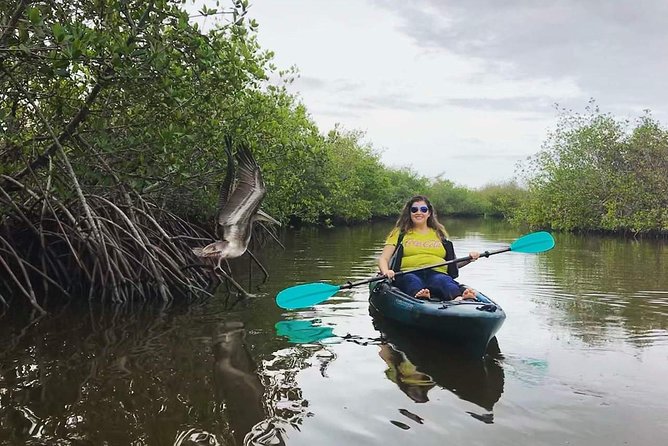 Thousand Island Mangrove Tunnel, Manatee & Dolphin Kayak Tour w/Cocoa Kayaking - Getting comfortable on the water