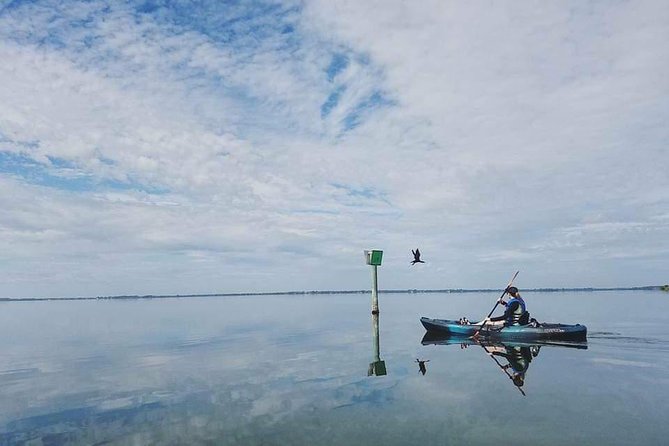 Thousand Island Mangrove Tunnel, Manatee & Dolphin Kayak Tour w/Cocoa Kayaking - Paddling from open lagoon to mangrove tunnel