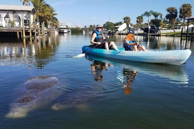 Thousand Island Mangrove Tunnel, Manatee & Dolphin Kayak Tour w/Cocoa Kayaking - Guides who add more than directions